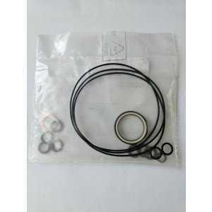 Seal kit for hydrauiic motor BRZV100 S14 HPS